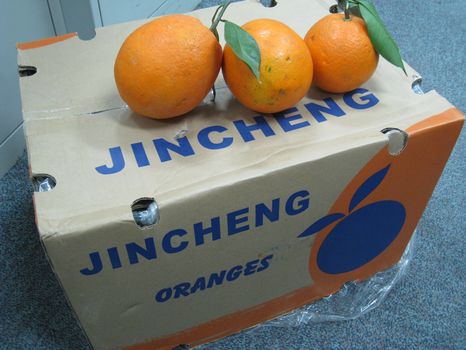 華南災害支援オレンジ1