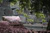 s-石垣と八重桜