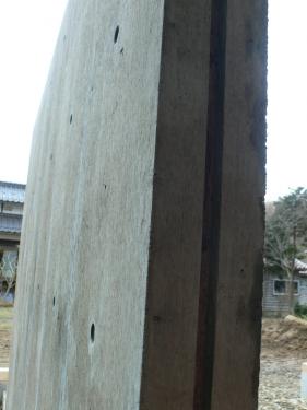 20112204.jpg