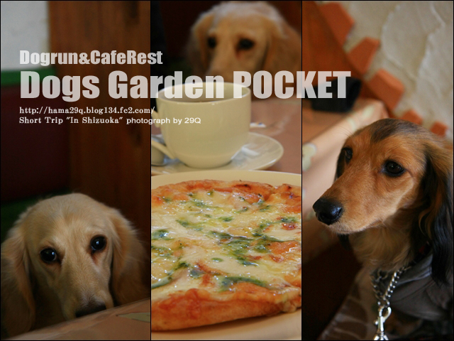 Dogs Garden POCKET