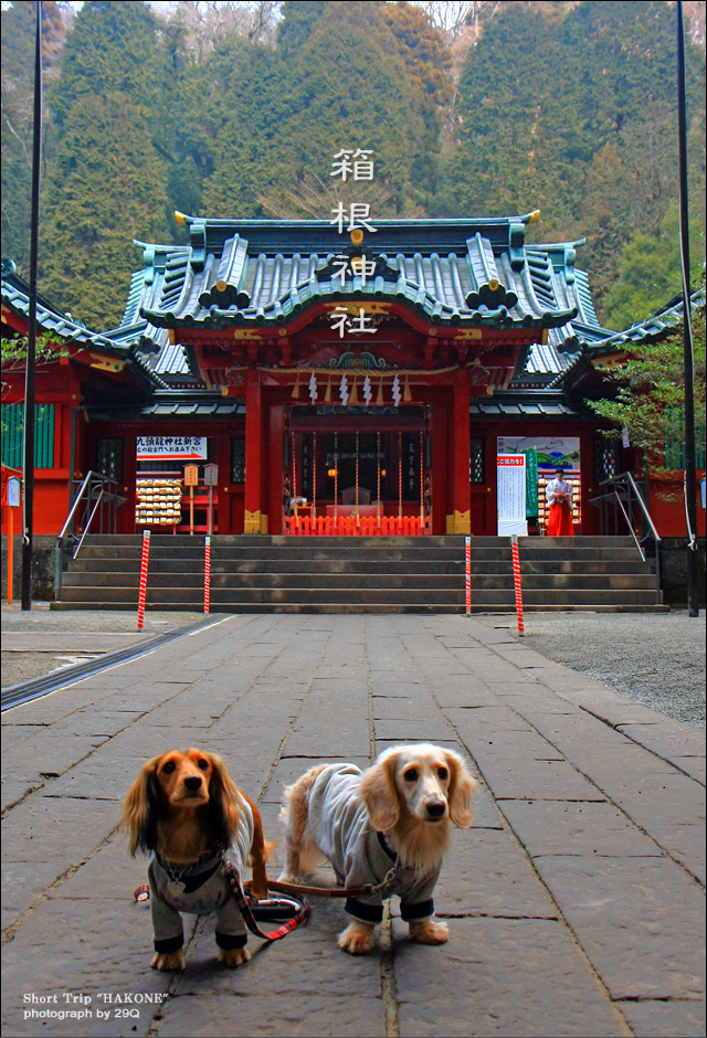 箱根神社：くり姉・大福