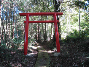 石井浅間神社の赤い鳥居、少し歩くと神社の拝殿が見えてきます