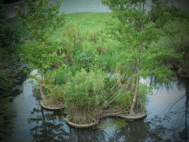 池作り　名古屋