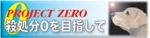 project-zero