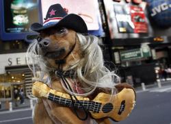Dog with a tune