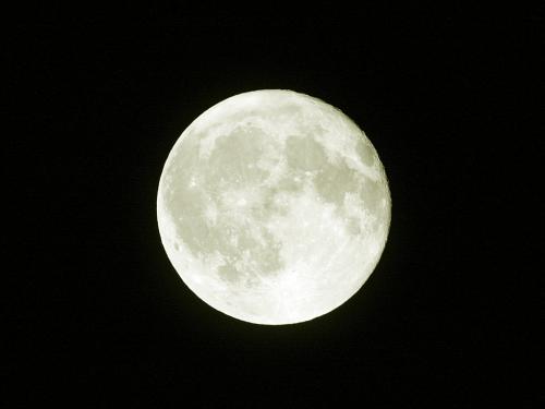 満月の夜に・・・パート１01