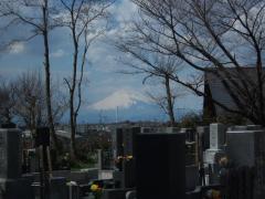 お墓から富士山