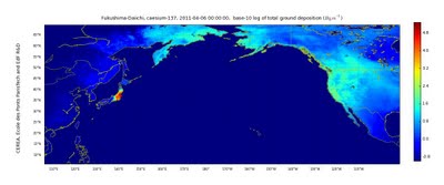 CEREAによる環太平洋地域におけるセシウム137の汚染シミュレーションマップでは、アメリカの汚染が西日本より深刻であることを示している