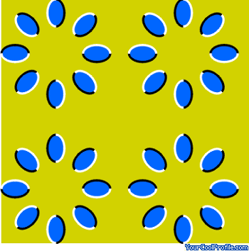optical-illusions-01.gif