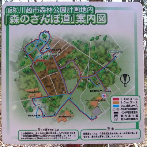 2011-01-05 森のさんぽ道 (1)