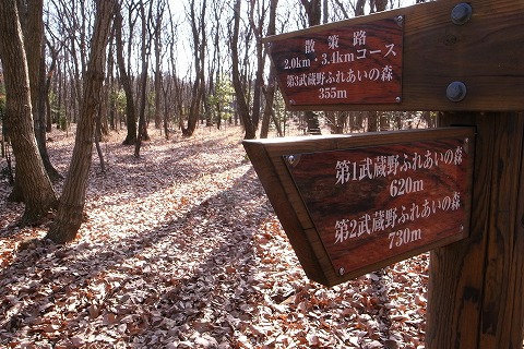 2011-01-05 森のさんぽ道 (6)