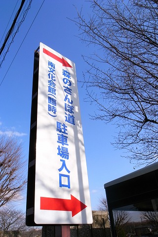 2011-01-05 森のさんぽ道 (0)