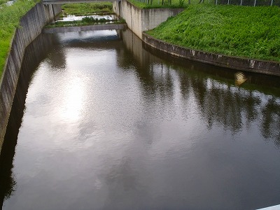 新河岸川放水路