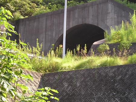 石内トンネル7